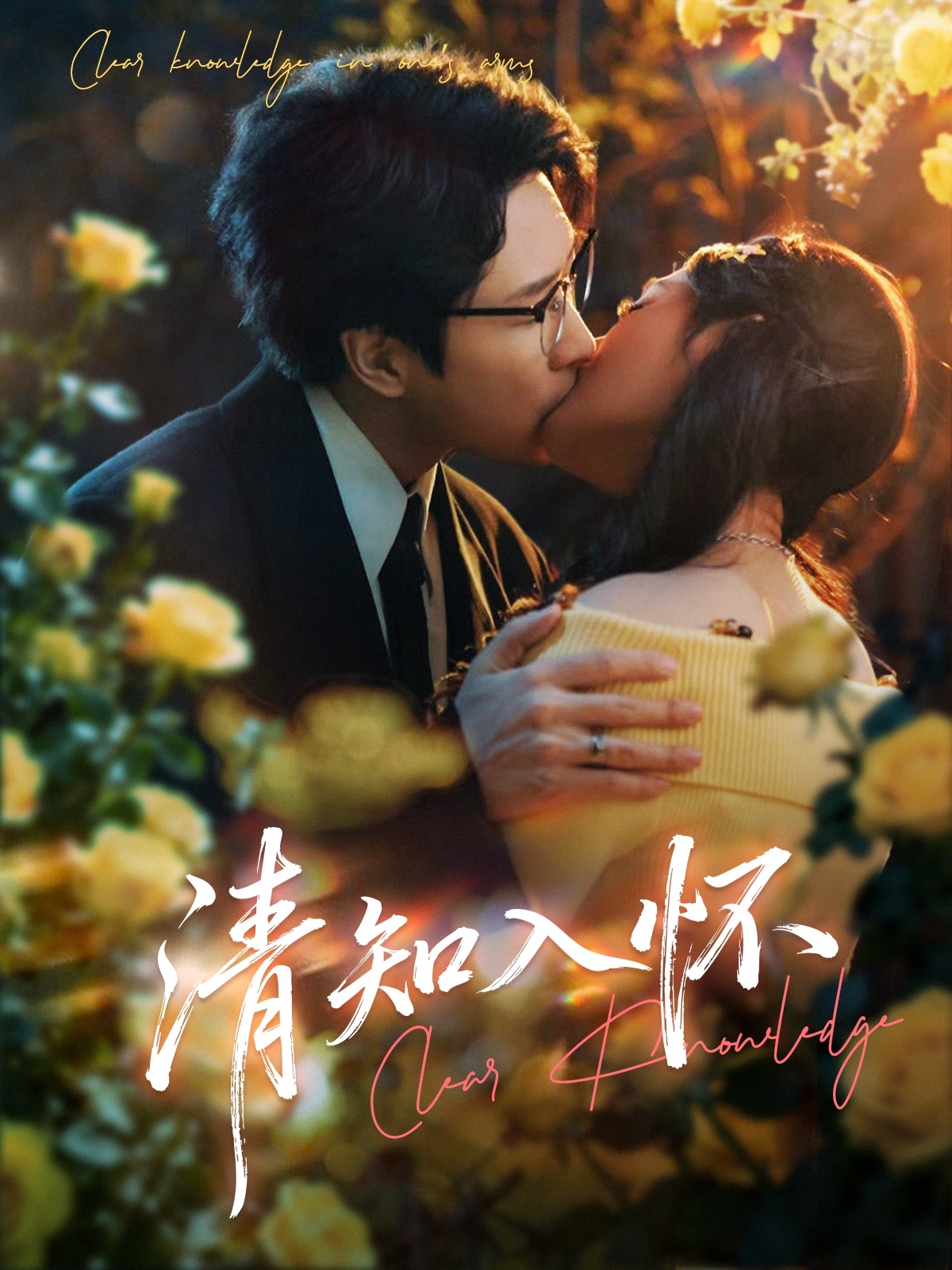 清知入怀(全集)