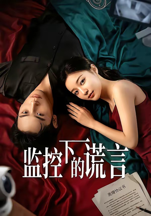 监控下的谎言(全集)
